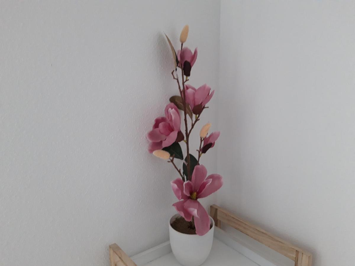 Mediterraneo Lux Apartment Aguadulce  Ngoại thất bức ảnh